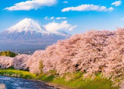 آشنایی با آب و هوای ژاپن و بهترین زمان سفر به این کشور آشنایی با آب و هوای ژاپن و بهترین زمان سفر به این کشور